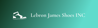 Lebron James Shoes INC